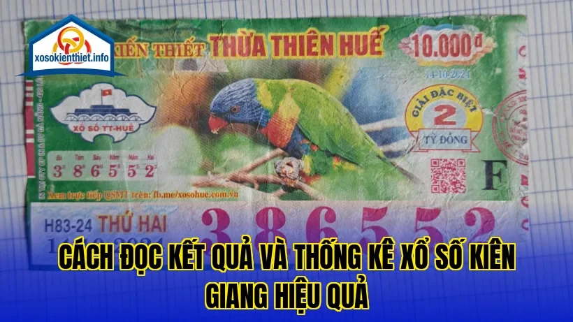 Cách đọc kết quả và thống kê xổ số Kiên Giang hiệu quả