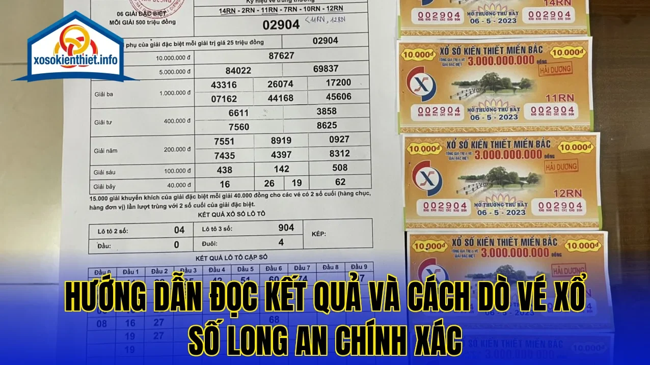 Hướng dẫn đọc kết quả và cách dò vé xổ số Long An chính xác