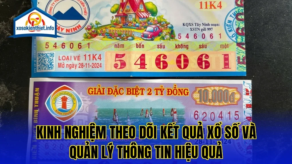 Kinh nghiệm theo dõi kết quả xổ số và quản lý thông tin hiệu quả
