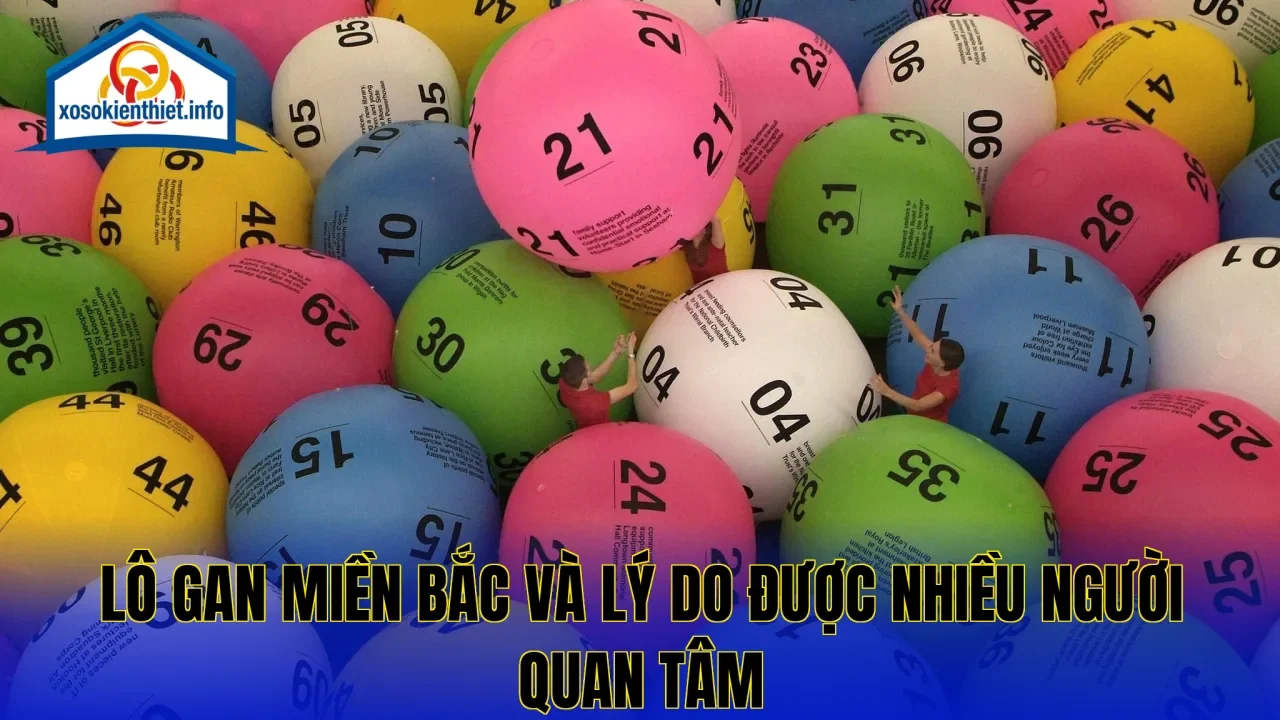 Lô gan miền Bắc và lý do được nhiều người quan tâm