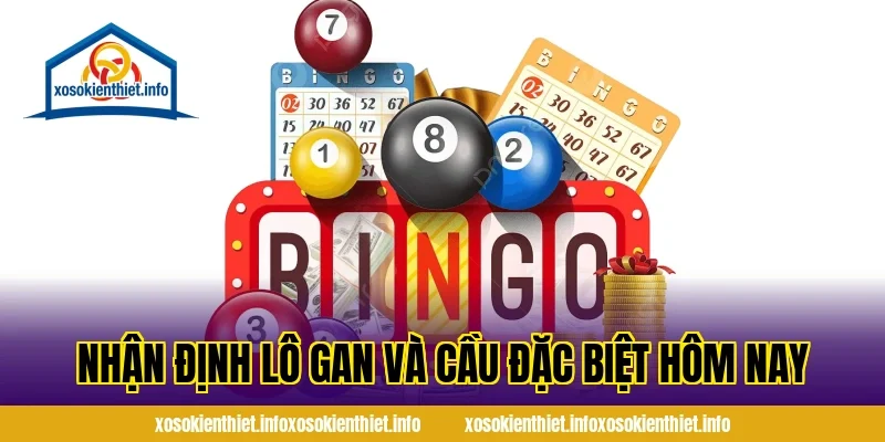 Nhận Định Lô Gan Và Cầu Đặc Biệt Hôm Nay